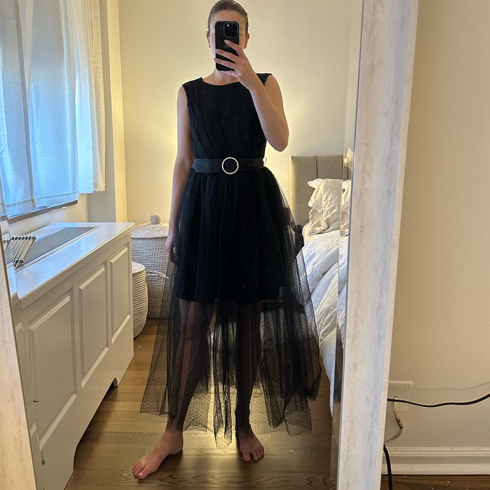 Zara tulle dress
